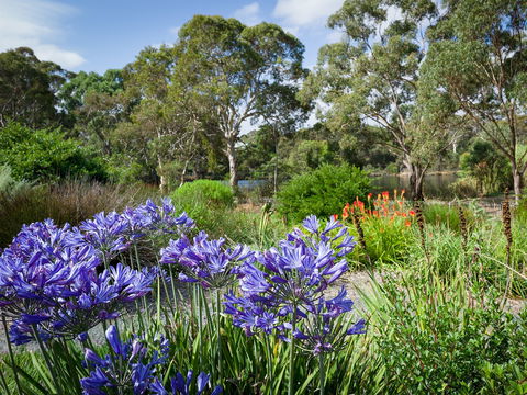 Wittunga Botanic Garden - Accommodation Gladstone 0