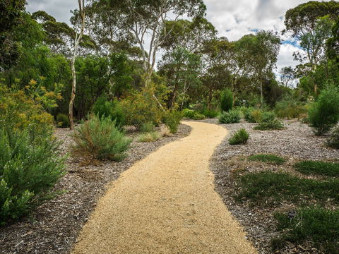 Wittunga Botanic Garden - Accommodation Gladstone 1