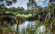 Wittunga Botanic Garden - thumb 2