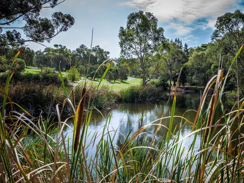 Wittunga Botanic Garden - Accommodation Gladstone 2