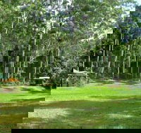 Woolgoolga Creek Picnic Area - Accommodation Gladstone