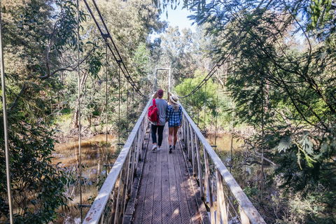 Yea Wetlands Walk - Accommodation Gladstone 0
