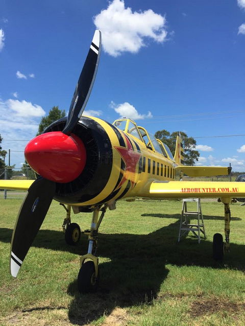 Aerohunter - Accommodation Gladstone 0