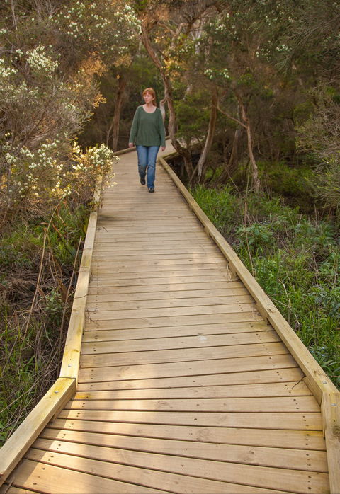 Balcombe Creek Estuary Boardwalk - Accommodation Gladstone 0