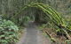 Bridle Trail - thumb 0