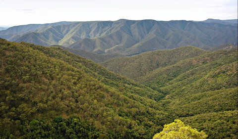 Budds Mare To Riverside Walking Track - Accommodation Gladstone 0