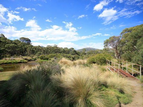 Bullocks Walking Track - Accommodation Gladstone 0
