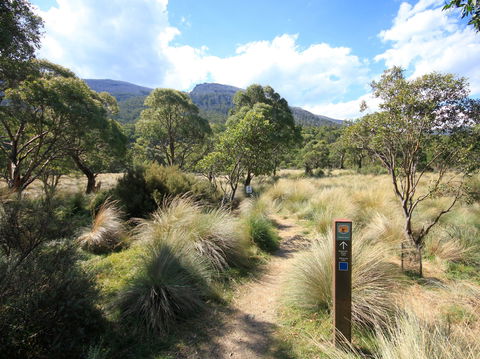 Bullocks Walking Track - Accommodation Gladstone 2