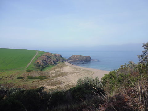 Bushrangers Bay - Accommodation Gladstone 1