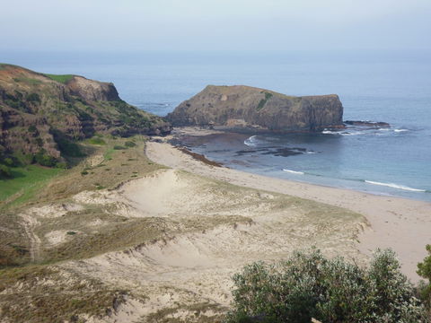Bushrangers Bay - Accommodation Gladstone 2
