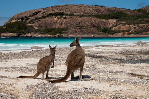 Cape Le Grand National Park - Accommodation Gladstone 0