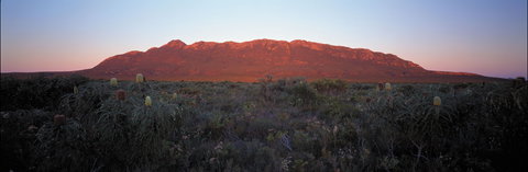 Cape Arid National Park - Accommodation Gladstone 2