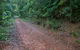 Cascade Mountain Bike Trail - thumb 0