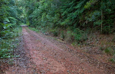 Cascade Mountain Bike Trail - Accommodation Gladstone 0