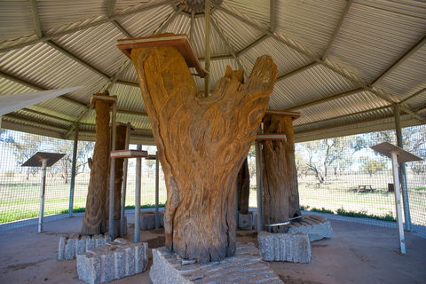 Collymongle Carved Trees - Accommodation Gladstone 2