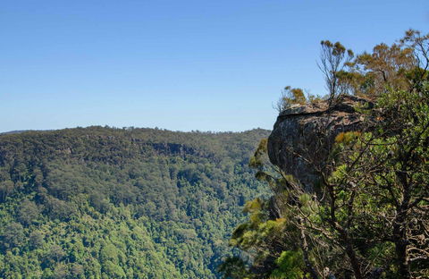 Cooks Nose Walking Track - Accommodation Gladstone 0