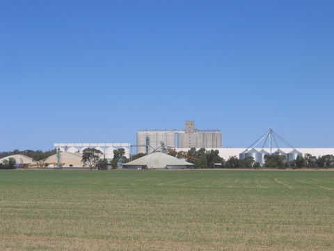 Co-operative Bulk Handling (CBH) Wheat Storage And Transfer Depot - Accommodation Gladstone 1