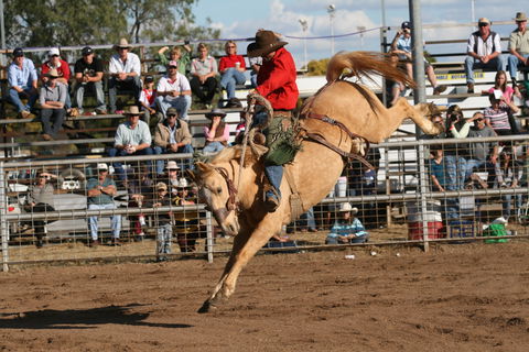 Coonamble - Accommodation Gladstone 0