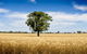 Coonamble - thumb 1