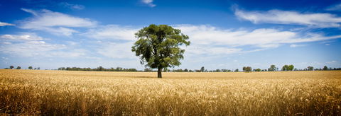 Coonamble - Accommodation Gladstone 1