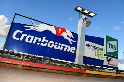 Cranbourne Greyhound Racing Club - Accommodation Gladstone 0