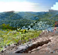 Dubbo Gully Loop Trail - Accommodation Gladstone