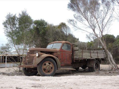 Emu Ridge Eucalyptus Pty Ltd - Accommodation Gladstone 2