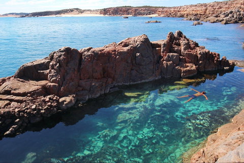 Eyre Peninsula - Accommodation Gladstone 0