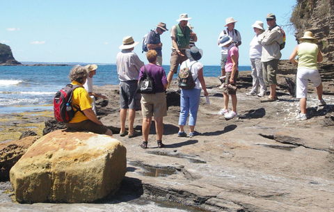 Gondwana Coast Fossil Walk - Accommodation Gladstone 0