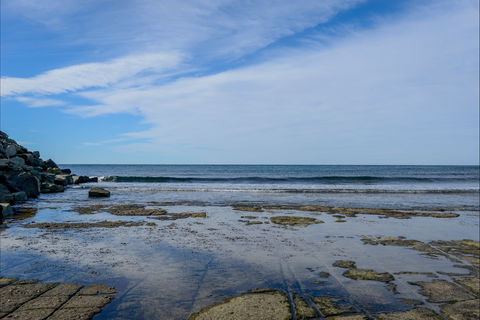 Gondwana Coast Fossil Walk - Accommodation Gladstone 1