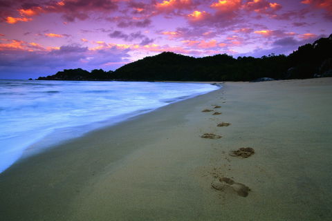 Hinchinbrook Island National Park - Accommodation Gladstone 2