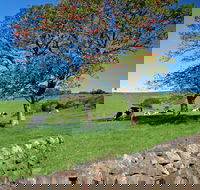 Historic Dry Stone Walls Kiama - Accommodation Gladstone