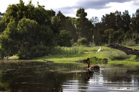 Hunter Wetlands Centre - Accommodation Gladstone 0