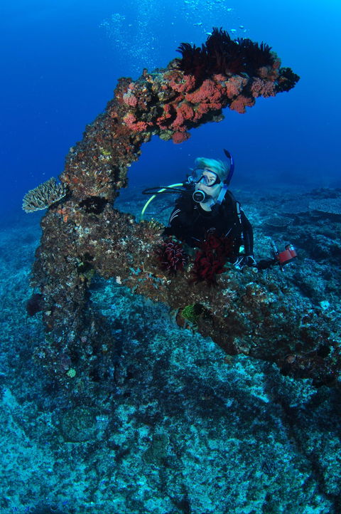 Hutchinson Shoal Dive Site - Accommodation Gladstone 1