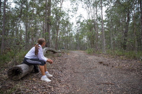 Ironbark Ridge And Spotted Gum Walking Trails - Accommodation Gladstone 1
