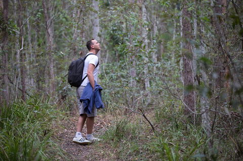 Ironbark Ridge And Spotted Gum Walking Trails - Accommodation Gladstone 2