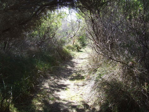 Jack And Hilda McArthur Walk - Accommodation Gladstone 0