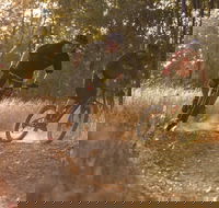 Kholo Gardens Trails - Accommodation Gladstone