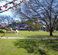 Koshigaya Park - Accommodation Gladstone