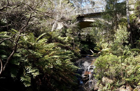 Leura Cascades - Accommodation Gladstone 2
