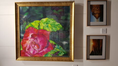 Macleay Valley Community Art Gallery - Accommodation Gladstone 0