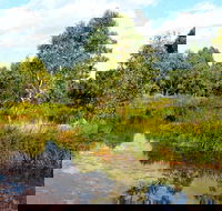 Mansfield Mullum Wetlands - Accommodation Gladstone