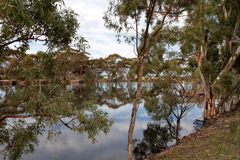 Merredin Railway Dam - Accommodation Gladstone 0
