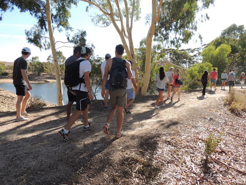 Merredin Railway Dam - Accommodation Gladstone 1