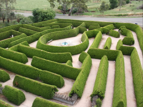 Mintaro Maze - Accommodation Gladstone 0