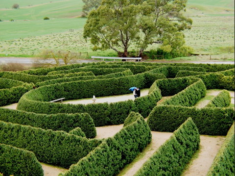 Mintaro Maze - Accommodation Gladstone 1