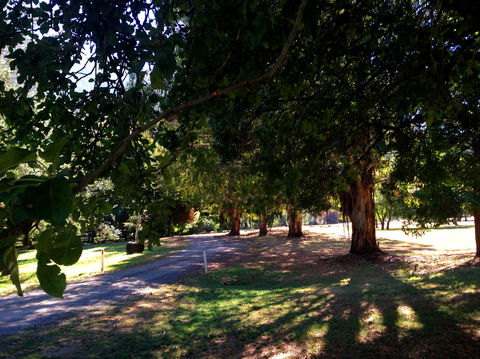 Mirimbah Park - Accommodation Gladstone 0