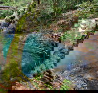 Mobong walking track - Accommodation Gladstone