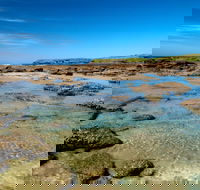 Moonee Beach trail - Accommodation Gladstone