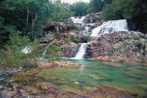 Mount Spec, Paluma Range National Park - Accommodation Gladstone 1